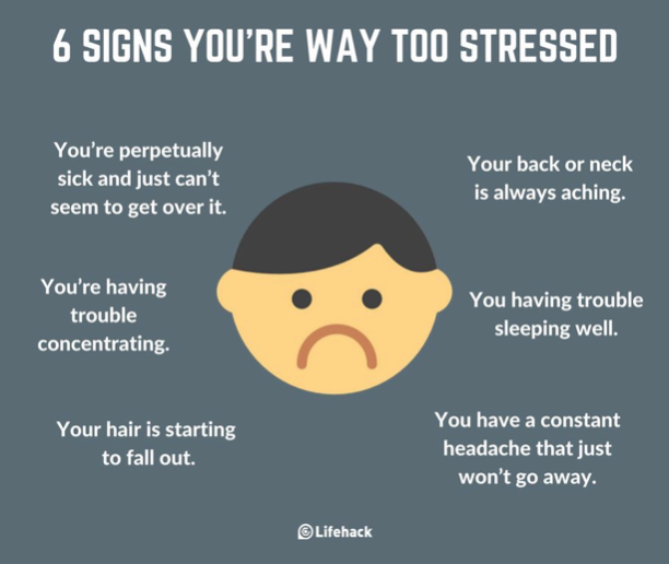 When Is Stress Not Good For You?  Get AMP(e)D